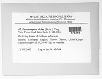 Image Associated With the Occurence